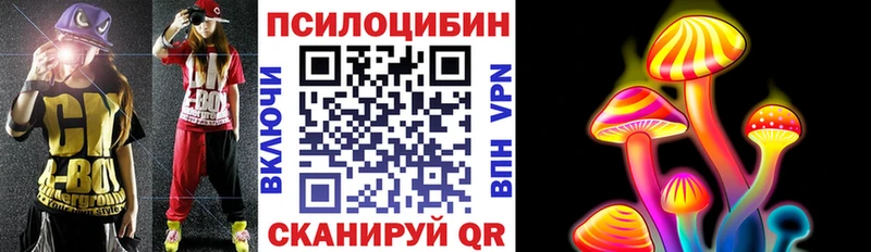 Галлюциногенные грибы Psilocybe  закладки  Бабушкин 